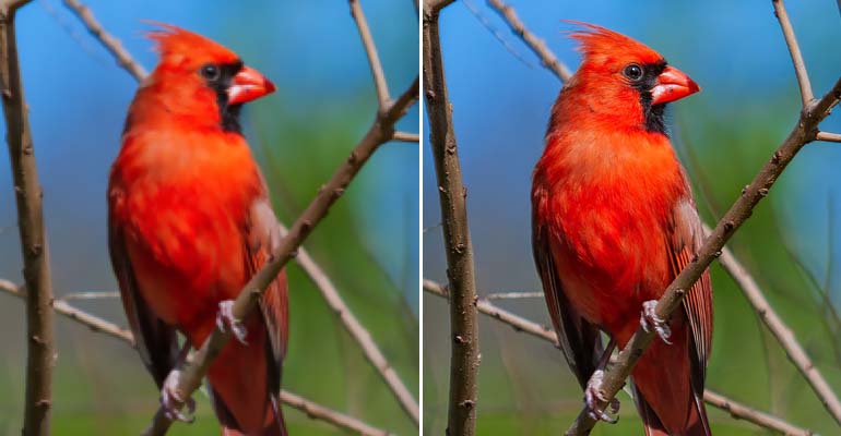 Generative Upscaling